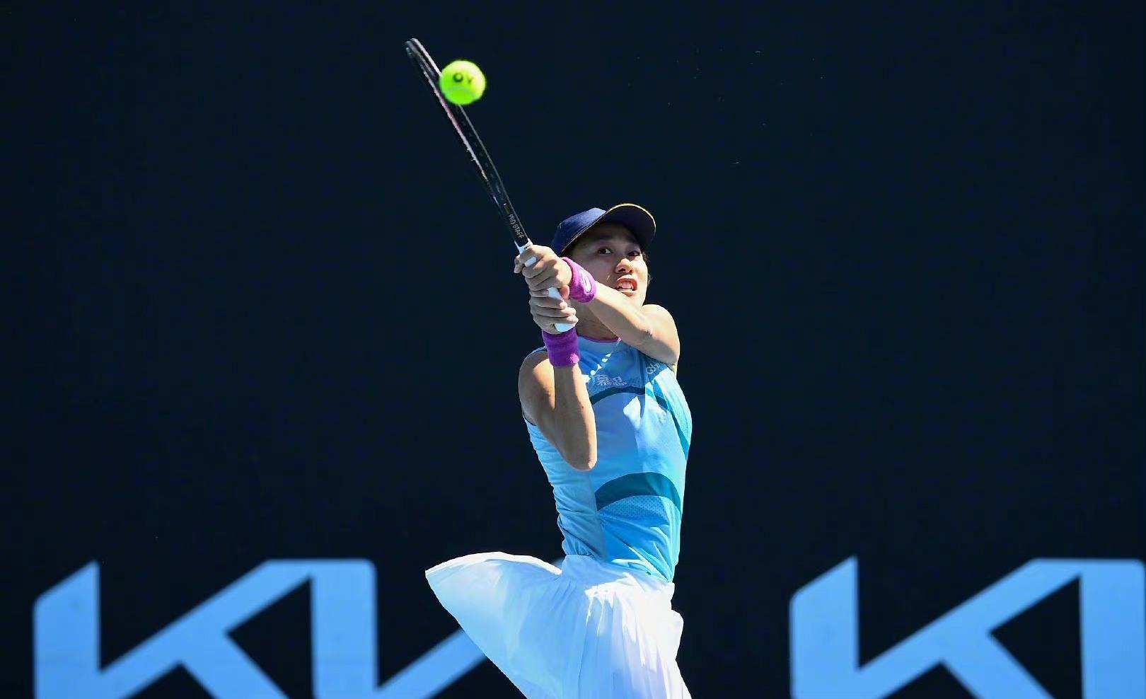 该费用将会 该费用将会