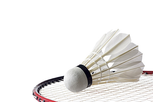 经成为全球 经成为全球